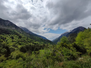 Pilar IMG-20230520-11